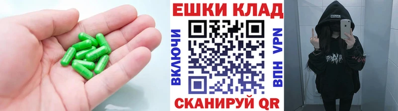 ЭКСТАЗИ ешки  магазин продажи   Тара 