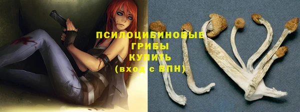 винт Пересвет