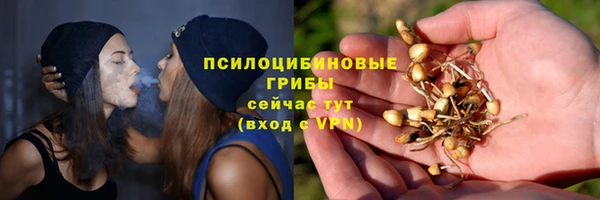 винт Пересвет