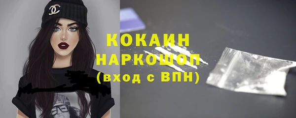 винт Пересвет