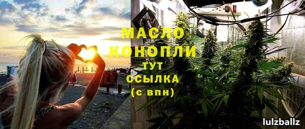 винт Пересвет