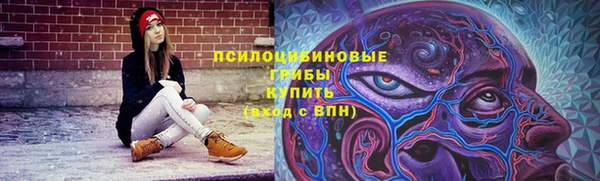 прущая мука Переславль-Залесский