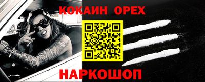 молекула духа Гатчина