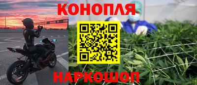 ALPHA PVP Гай