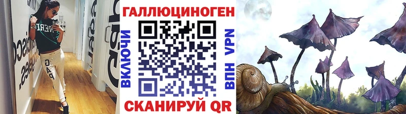Псилоцибиновые грибы Magic Shrooms  Тара 