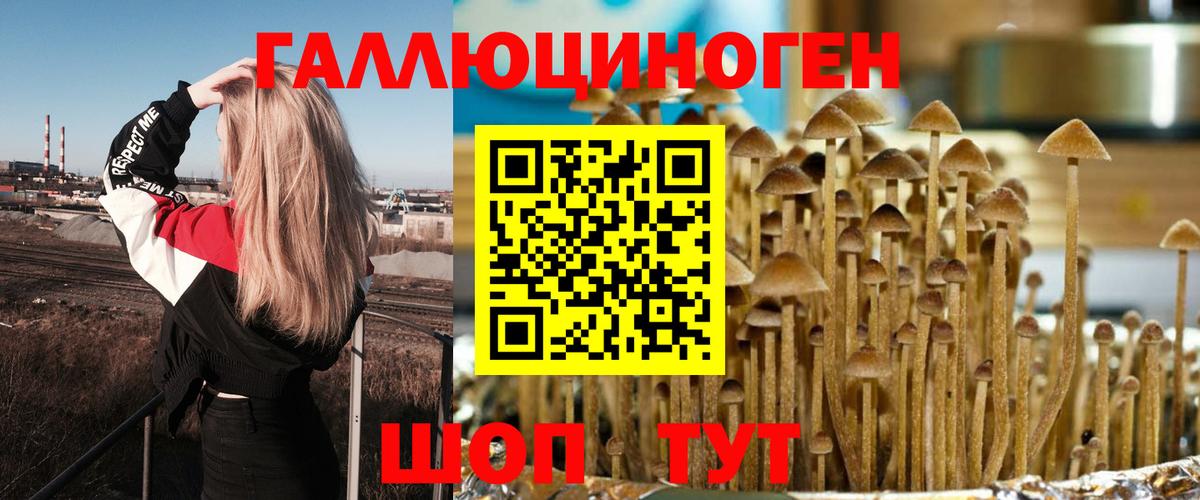 Псилоцибиновые грибы Cubensis  Вход с VPN  Тара 