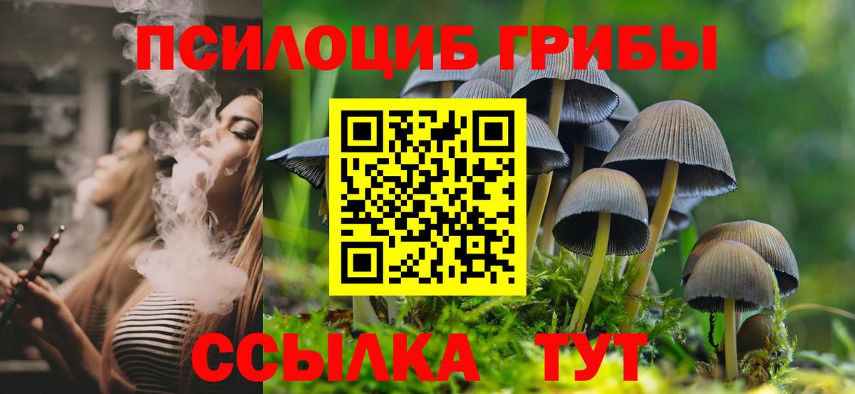 LSD-25  ГАШ  Вход с VPN  Экстази  Тара  Где найти наркотики?  МДМА  Конопля  Меф кристаллы  Героин  Cocaine 